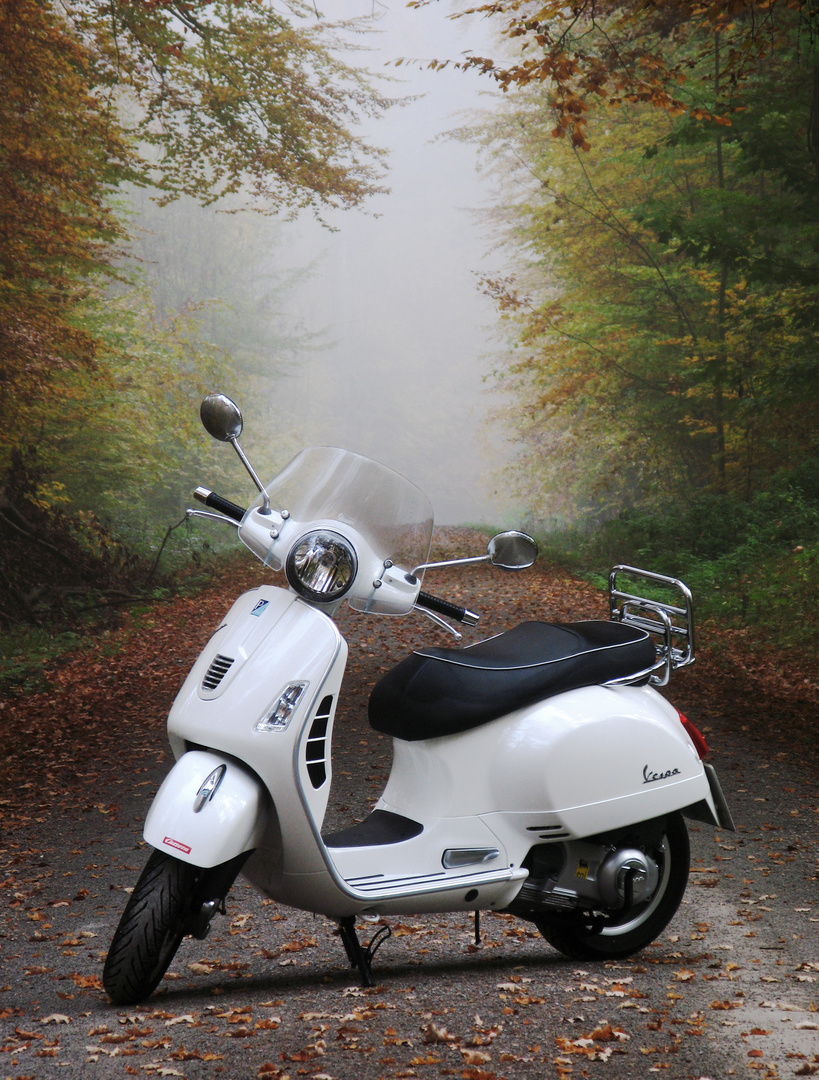 Vespa im Wald