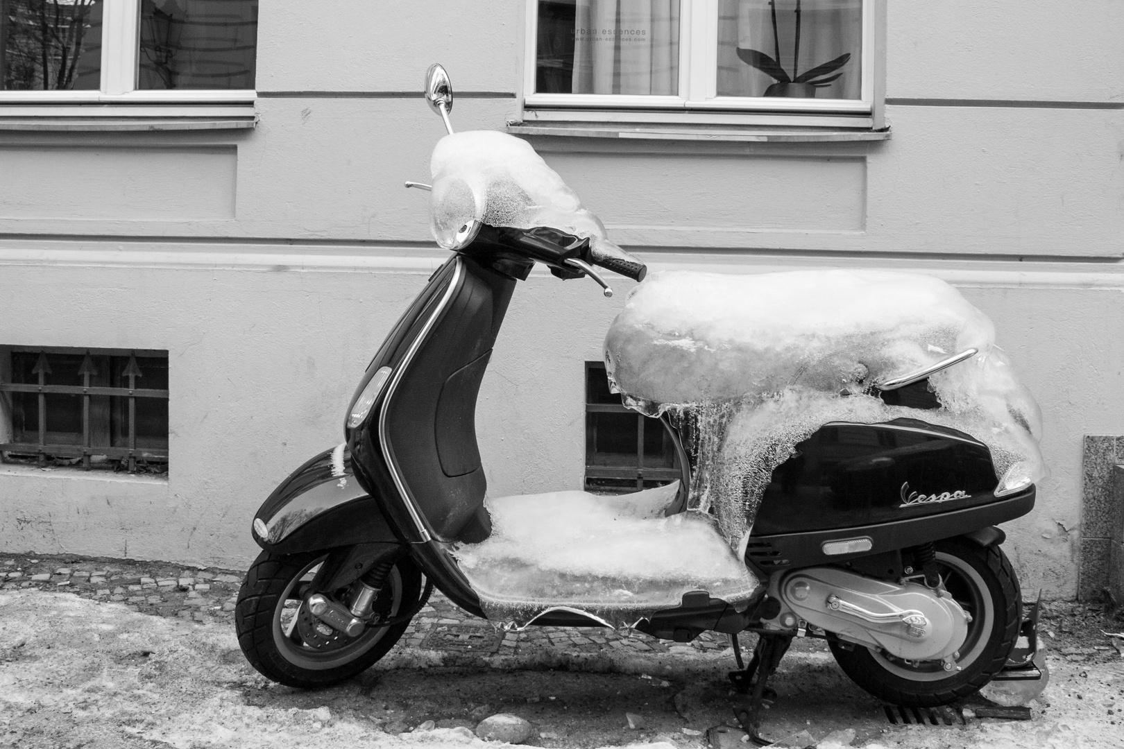 Vespa in Aspik