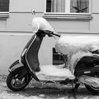 Vespa in Aspik