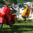 Vespa Kult