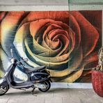 * Vespa mit Rose *