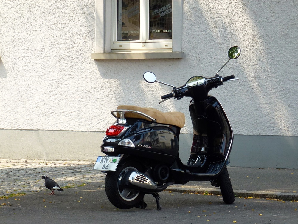 Vespa mit Taube