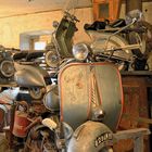 Vespa-Museum (HDR)