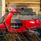 Vespa, rot