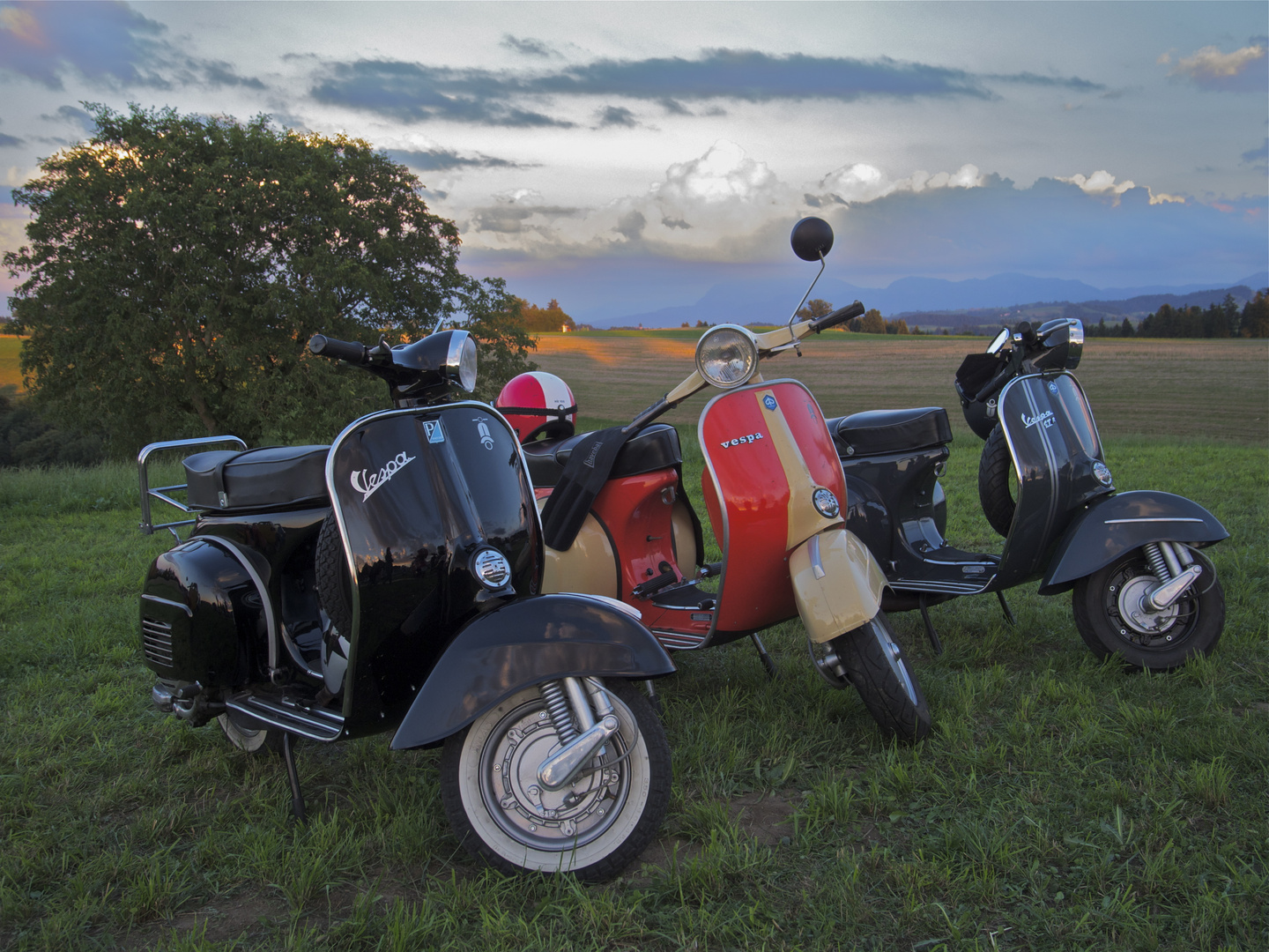 Vespa 's am Abend auf der Wiese