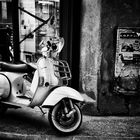 Vespa that all !