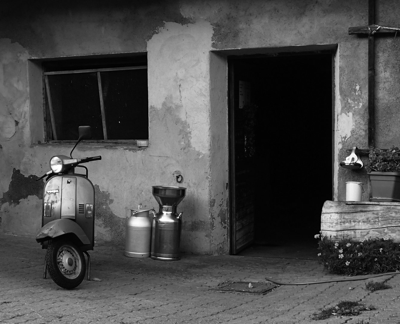 Vespa und Milch.