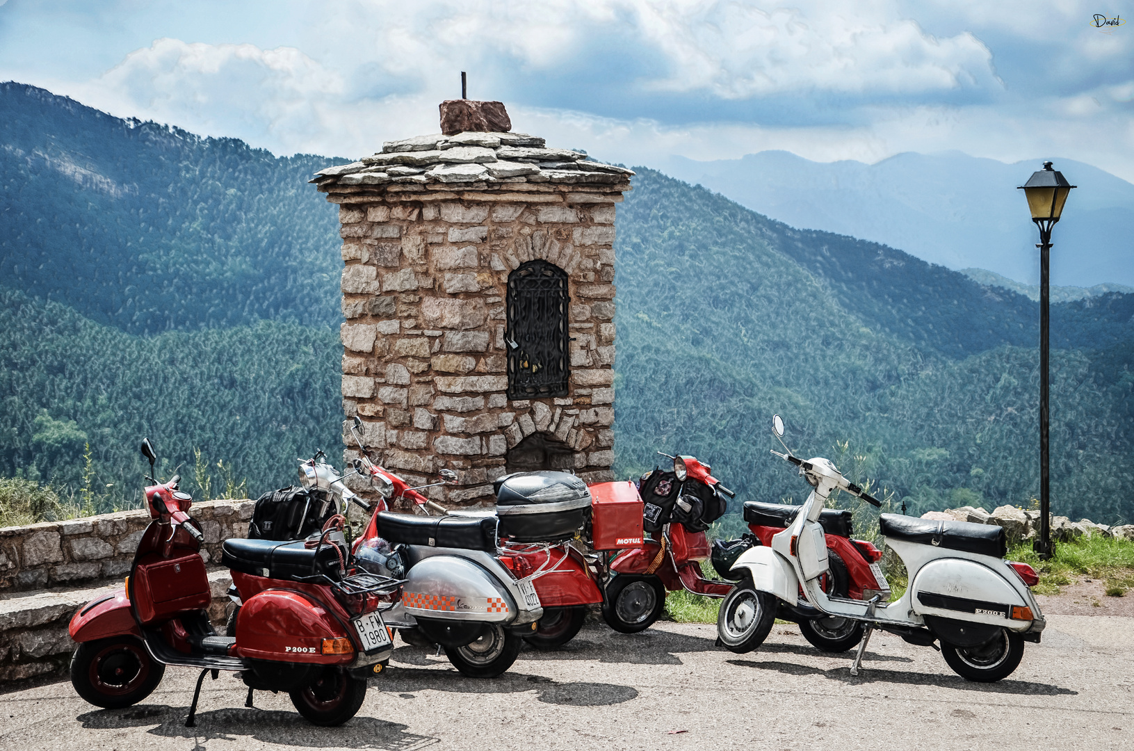 VESPAS EN LIBERTAD