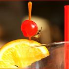 Vespula germanica auf Maraschino-Kirsche