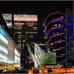 Vessel Nearing Completion - a Hudson Yards Nightscape