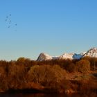 Vesteralen-von Harstad nach Sortland