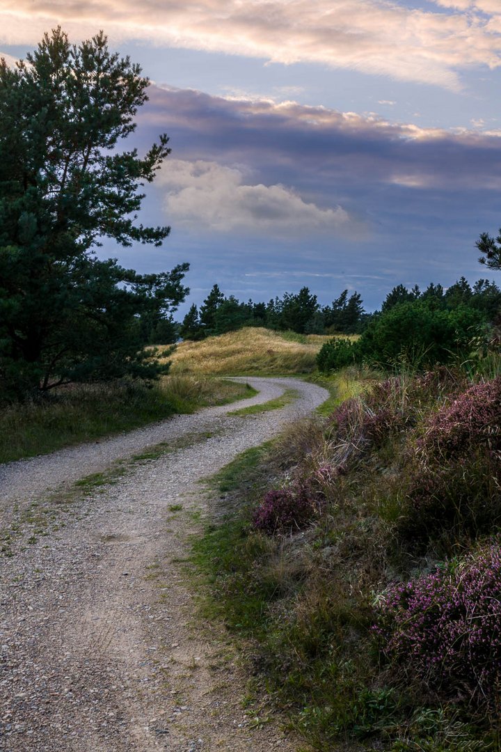 Vesterhede, Dänemark