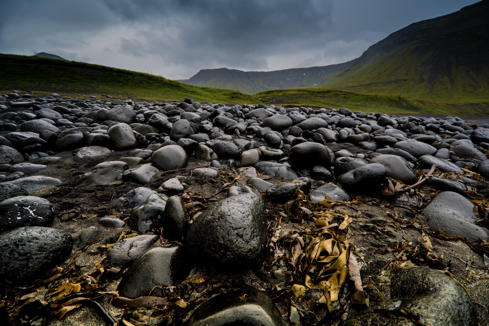 Vestfirðir