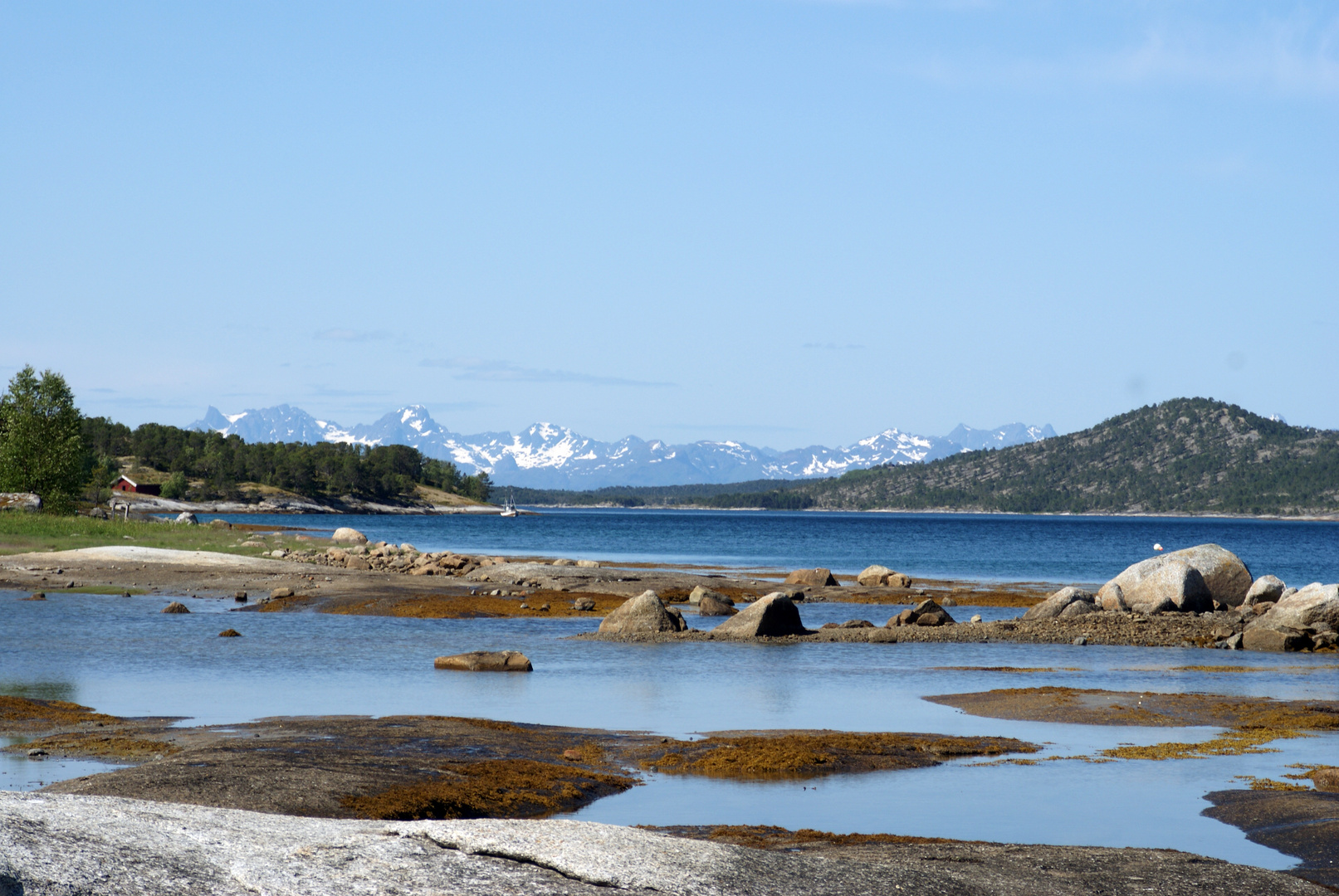 Vestfjord