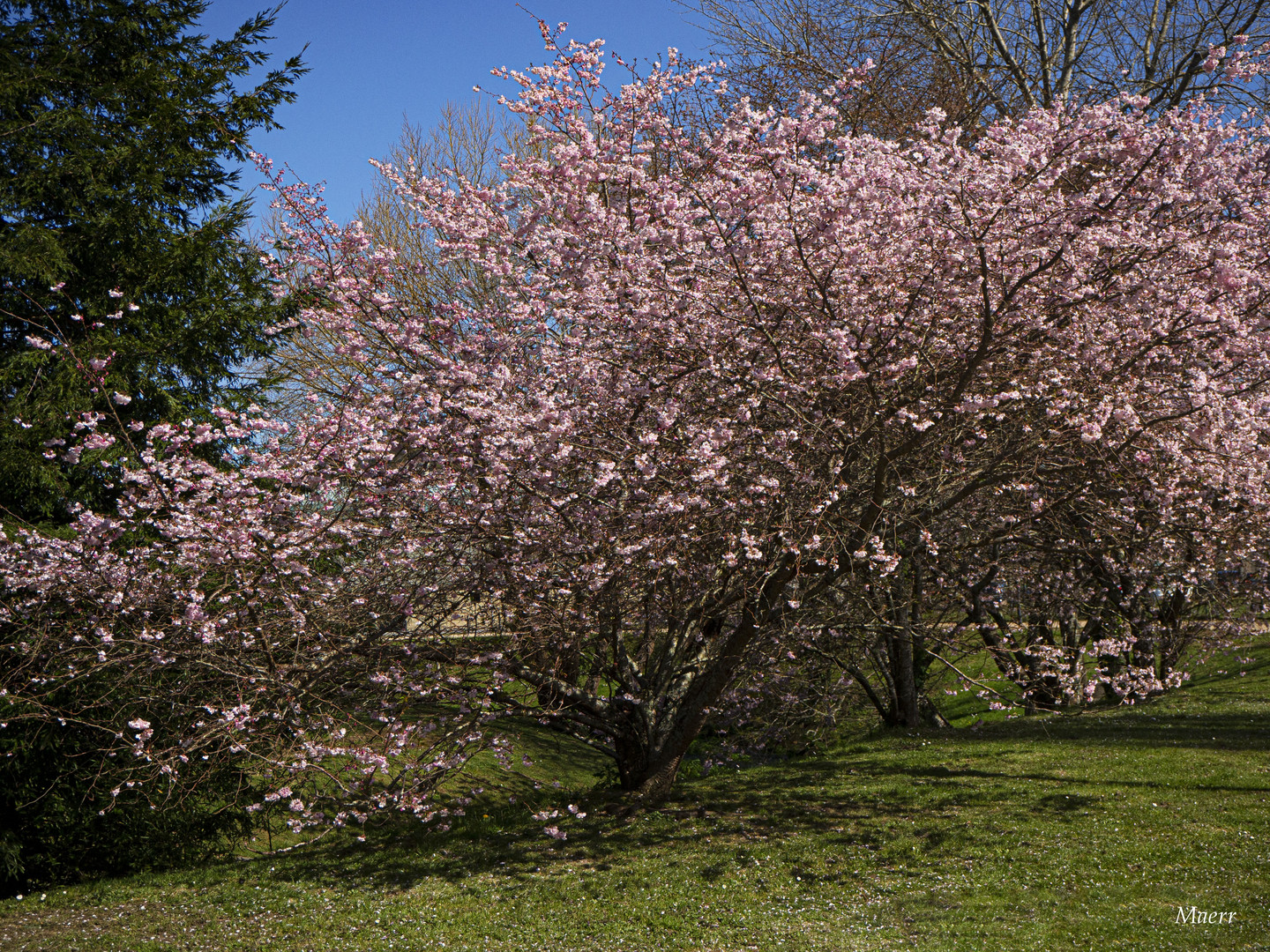 Vestidos de primavera.