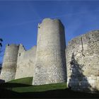 ..Vestiges du château d'Yèvres le Châtel (45)