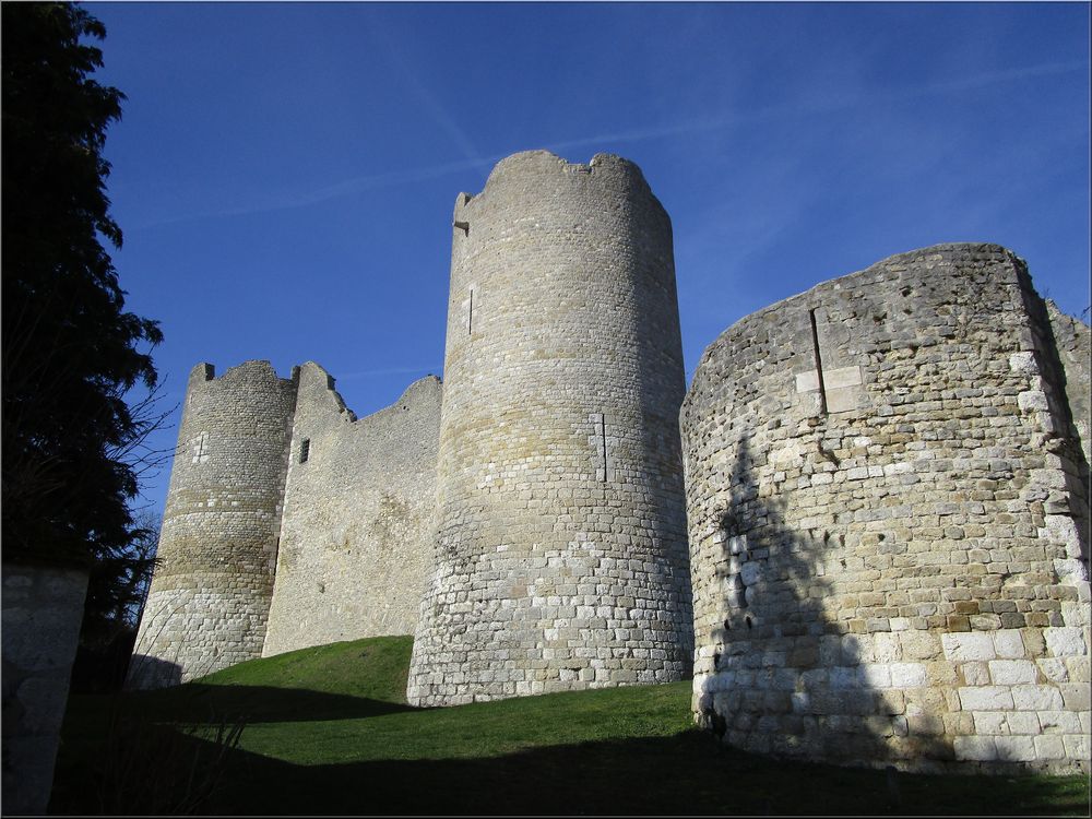 ..Vestiges du château d'Yèvres le Châtel (45)