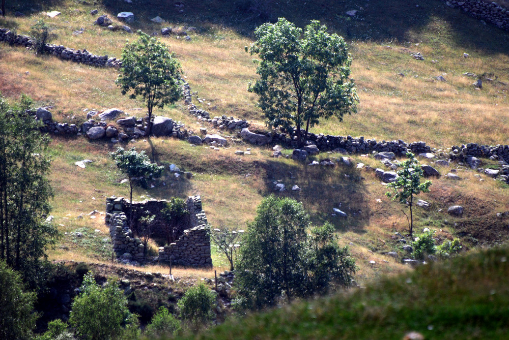 Vestiges d'une bergerie