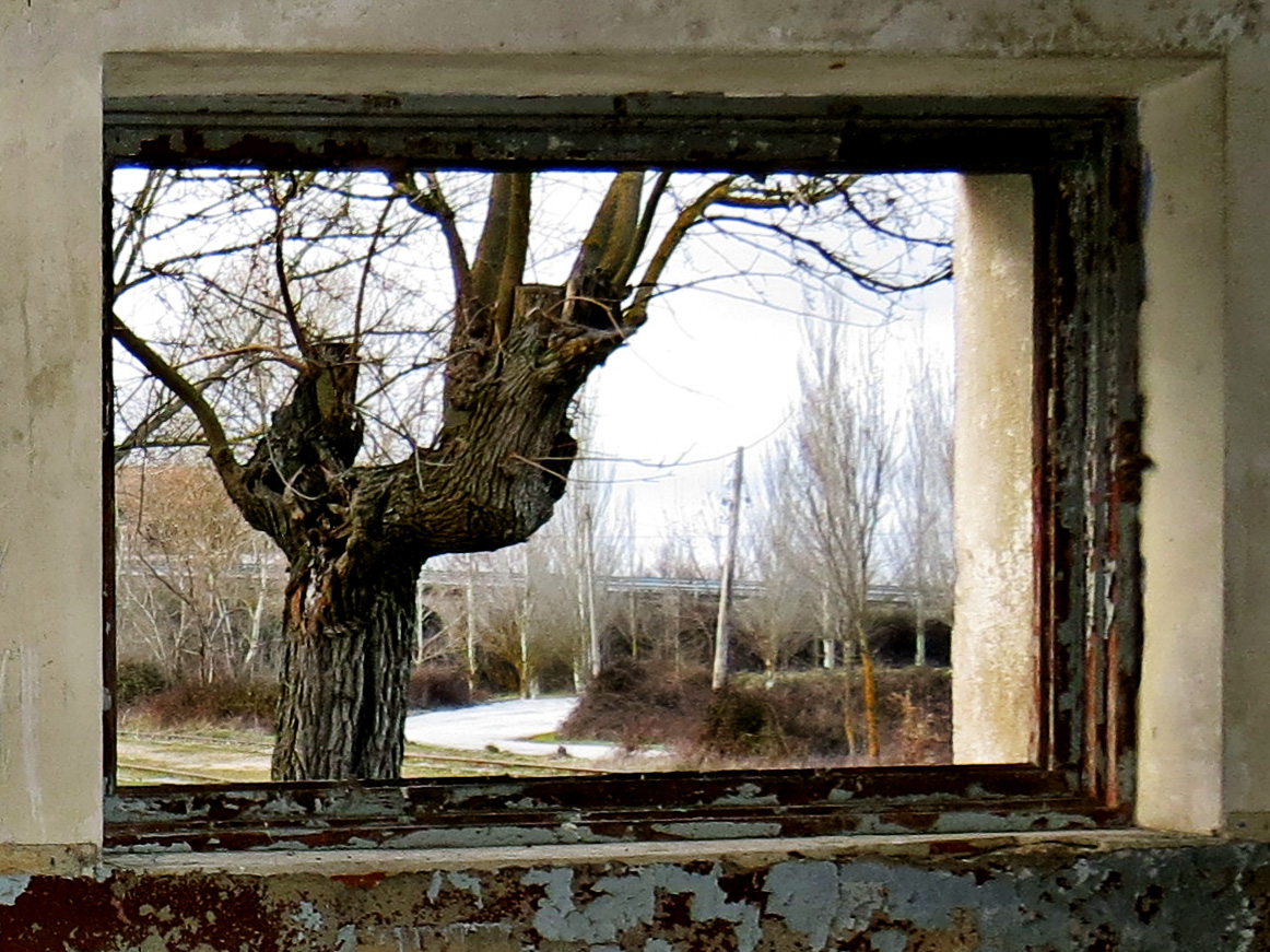 Vestigios del ayer, desde la ventana