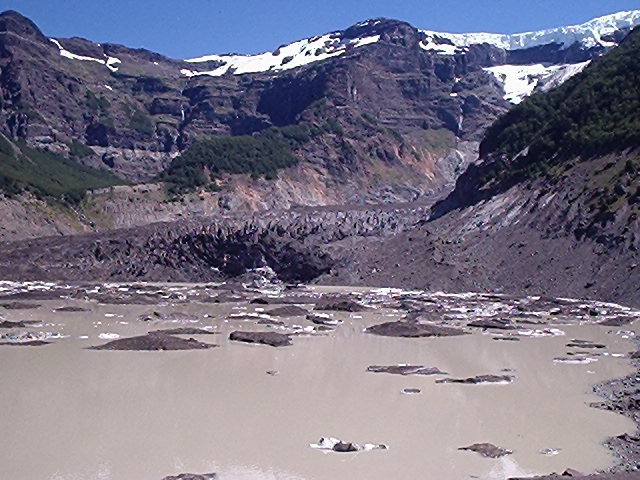 Vestiquero negro,Cerro Tronador(Argentina)