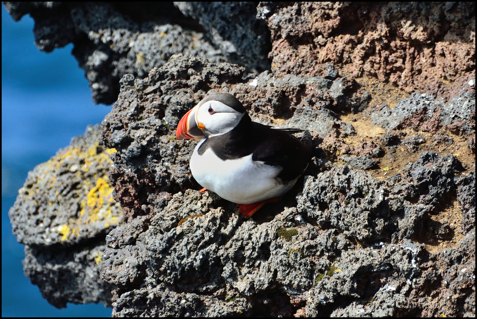 Vestmannaeyjar #3