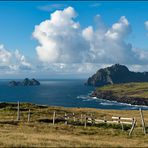 [ Vestmannaeyjar ]