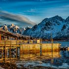 Vestpollen, Lofoten