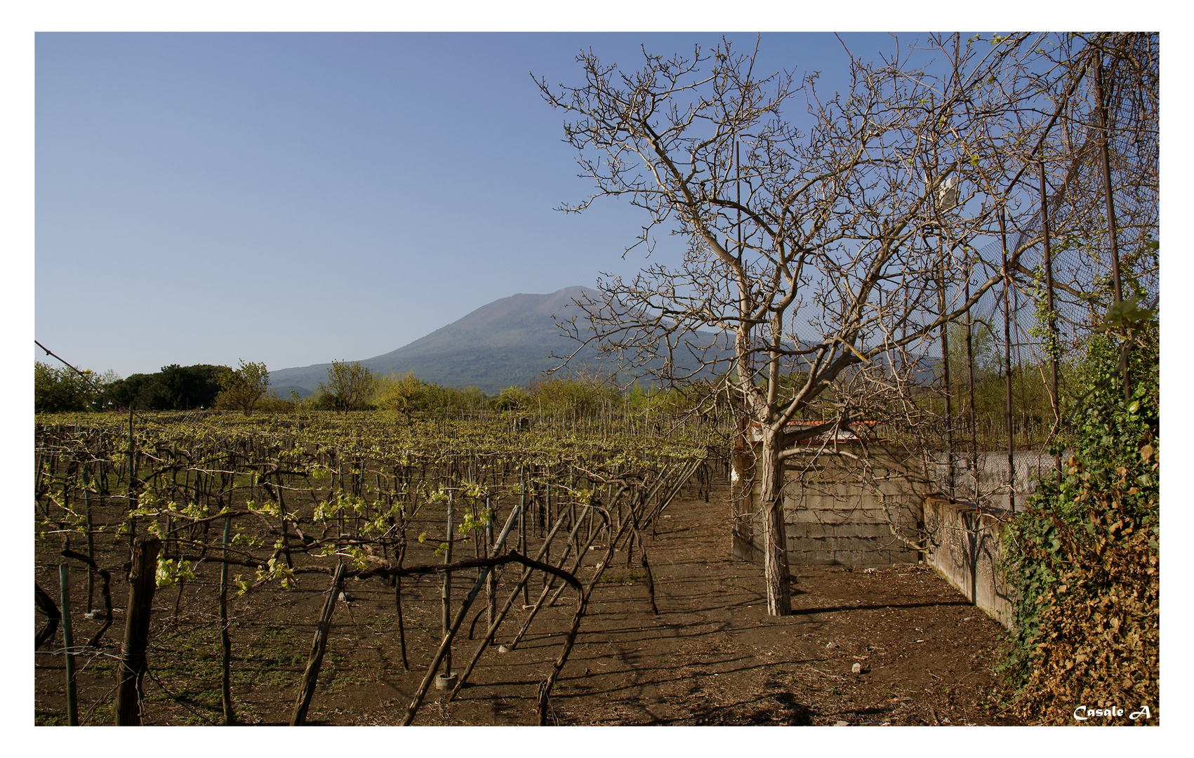 Vesuvio 2