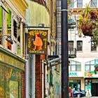 Vesuvio Cafe(North Beach San Francisco)