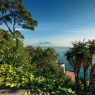 Vesuvio visto da Posillipo