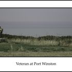 Veteran at Port Winston