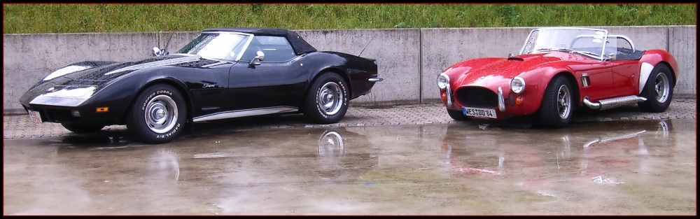 Vette und Cobra