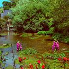 Veules-les-Roses / PAUSE