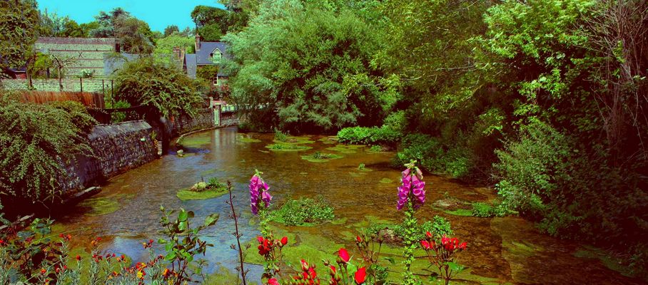 Veules-les-Roses / PAUSE