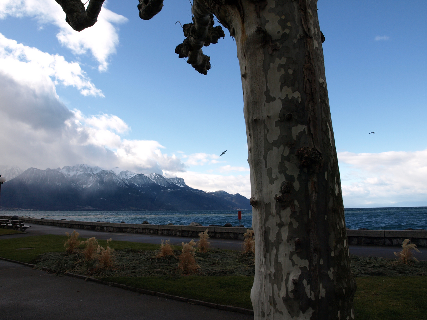 Vevey am Genfer See