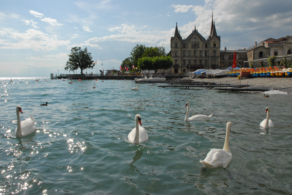 Vevey, Marktplatz