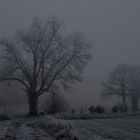 Vexin dans le matin givré