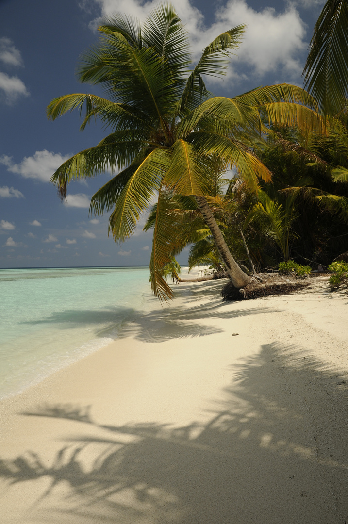 Veya Island Meemu-Atoll