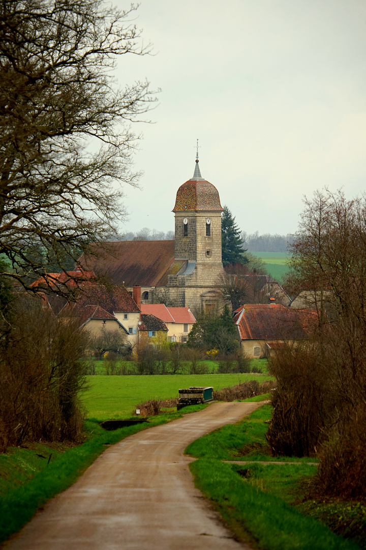 Vezet (70)