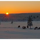 Vi gratulerer med dagen