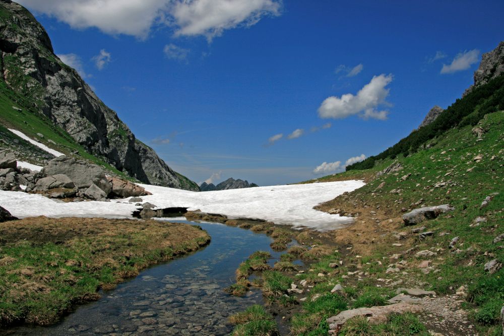 Via Alpina - im Großen Walsertal