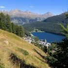 Via Alpina oberhalb von St. Moritz