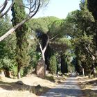 Via Appia Antica