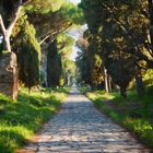 Via Appia antica I