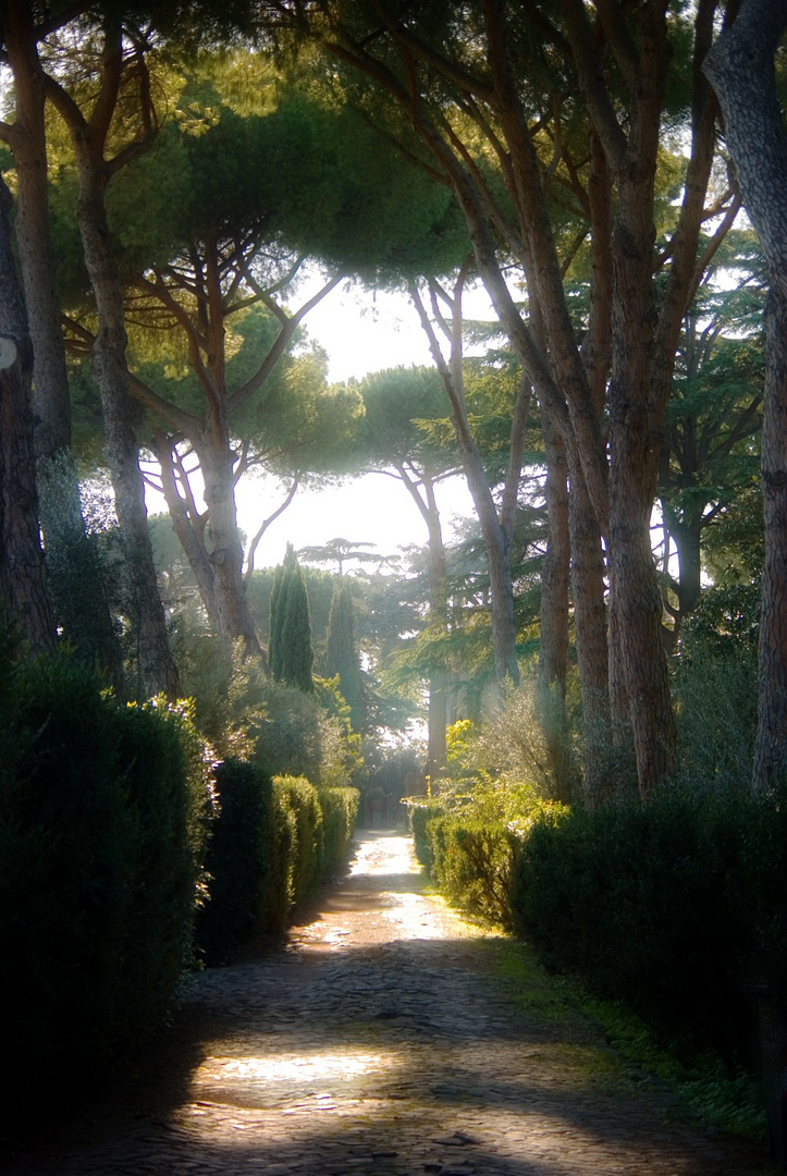 Via Appia antica II