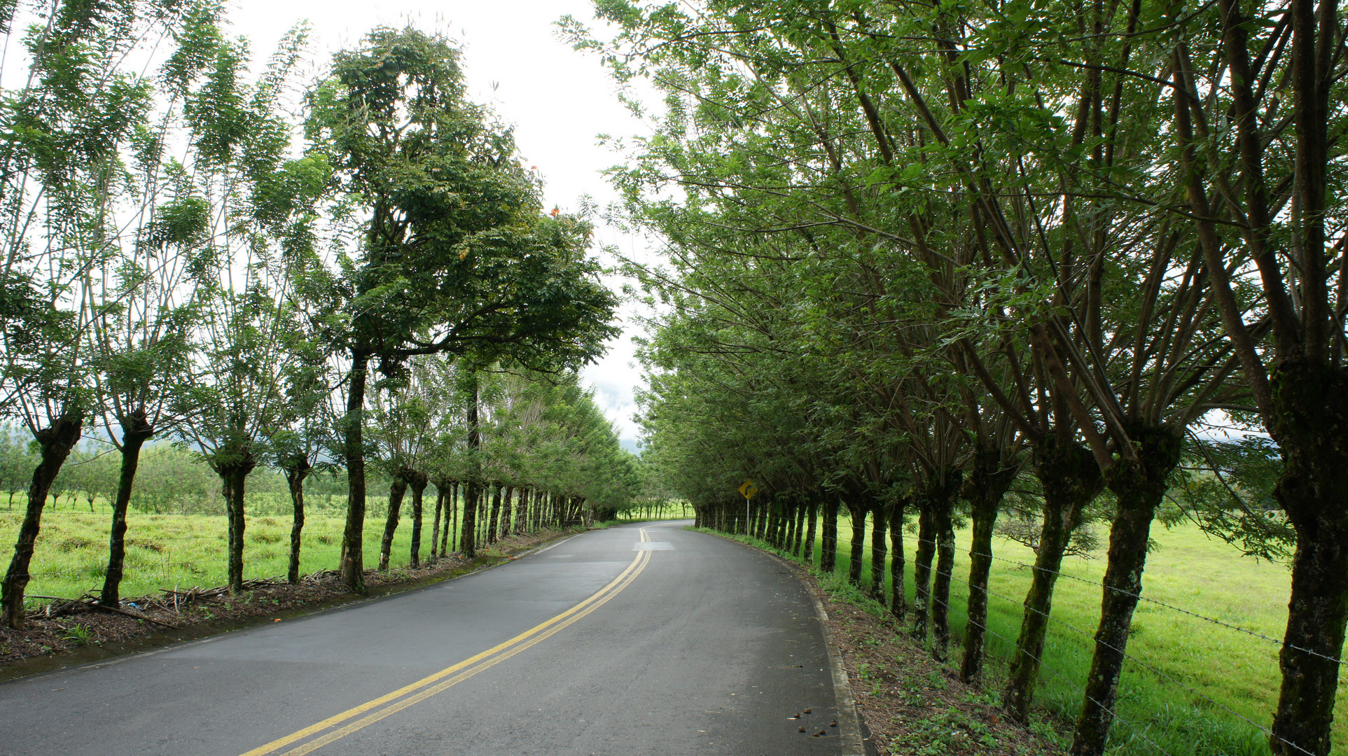 VIA DE BELEN DE UMBRIA A PEREIRA