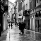 Via dei Calzolai, Piacenza