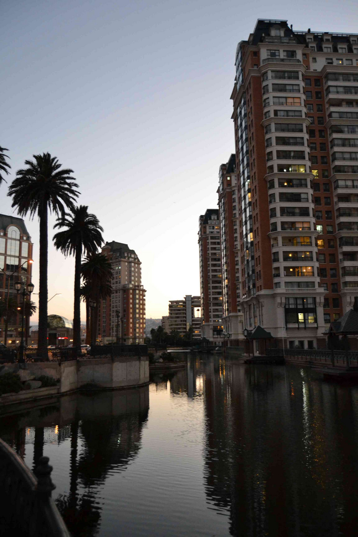 Viña Del Mar, Reflex