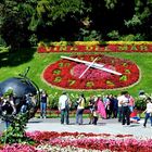 Viña Del Mar, Reloj de Flores