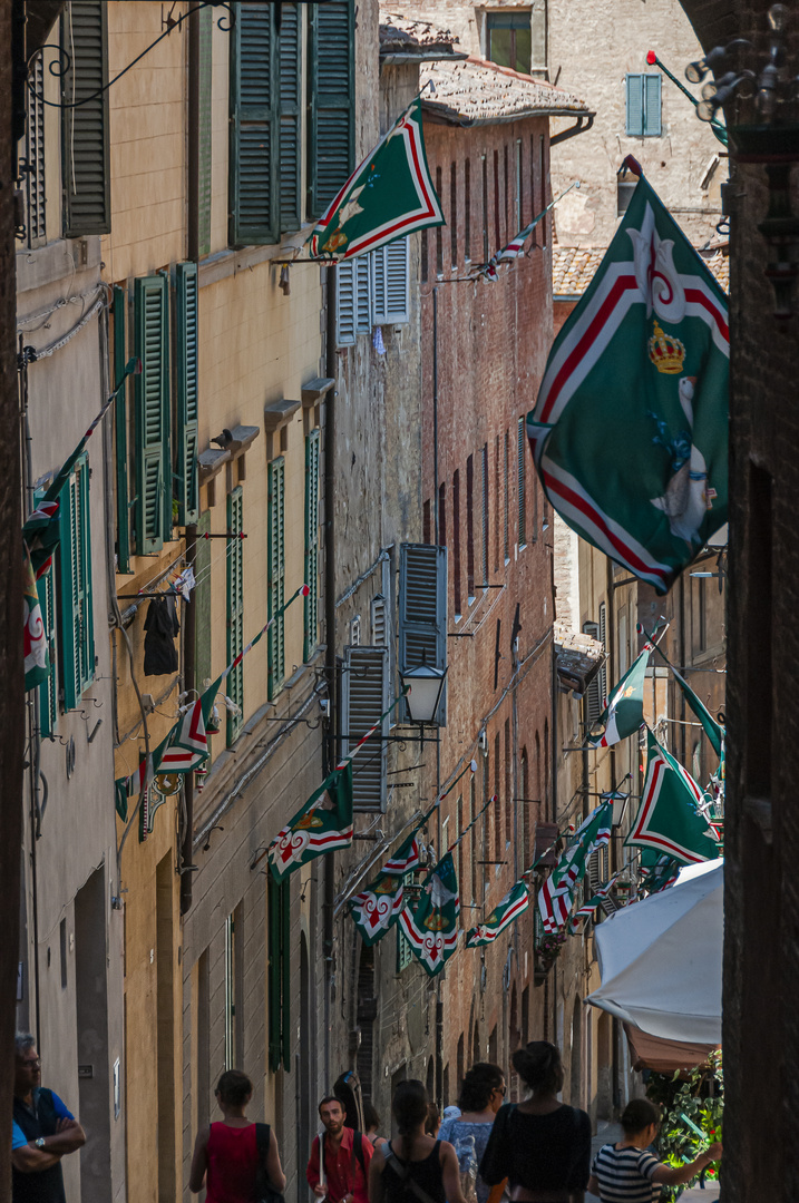 Via della Galluzza